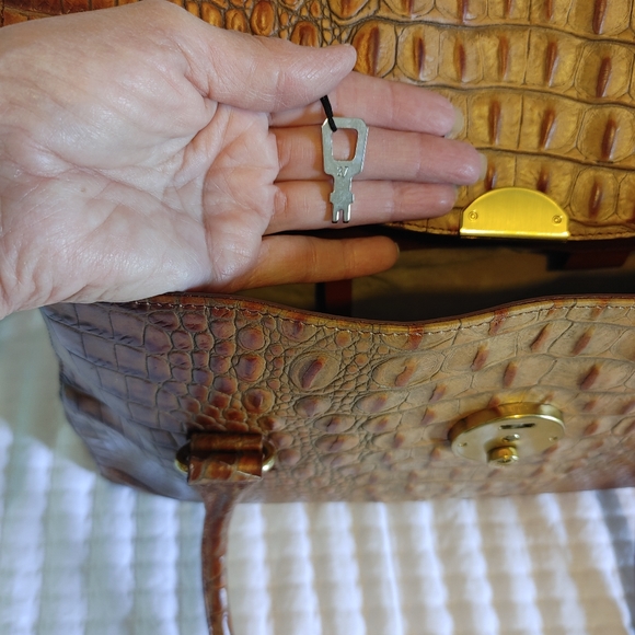 Brahmin - Picture 5 of 5